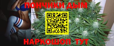 крисы Гуково
