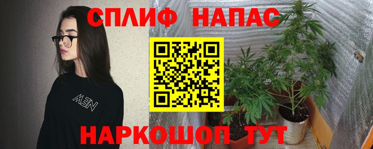 МАРИХУАНА марихуана  Марихуана индика  МАРИХУАНА гибрид  Марихуана AK-47  Бердск  Вход с VPN 